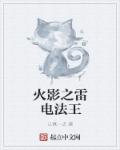 火影之雷电法王