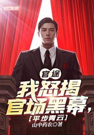 官途：我怒揭官场黑幕，平步青云