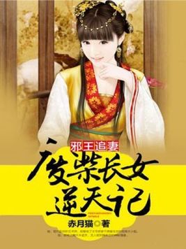 邪王追妻：废柴长女逆天记