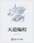 天道编程