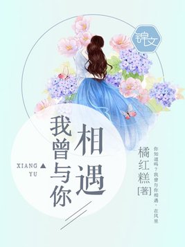我曾与你相遇