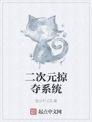二次元掠夺系统