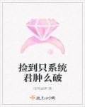 捡到只系统君肿么破