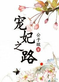 宠妃之路