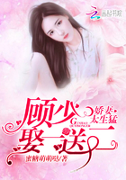娇妻太生猛：顾少，娶一送二！