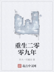 重生二零零九年