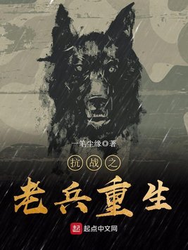 抗战之老兵重生