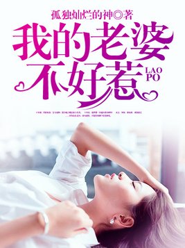 我的老婆不好惹