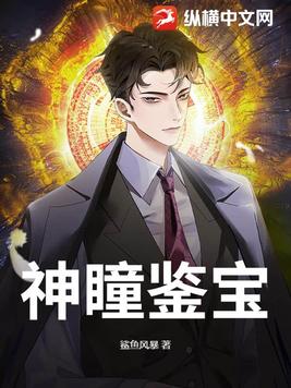 神瞳鉴宝