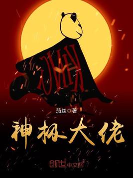 神极大佬