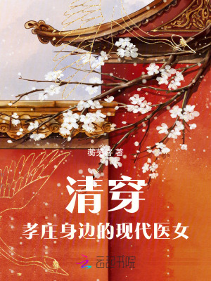 清穿：孝庄身边的现代医女